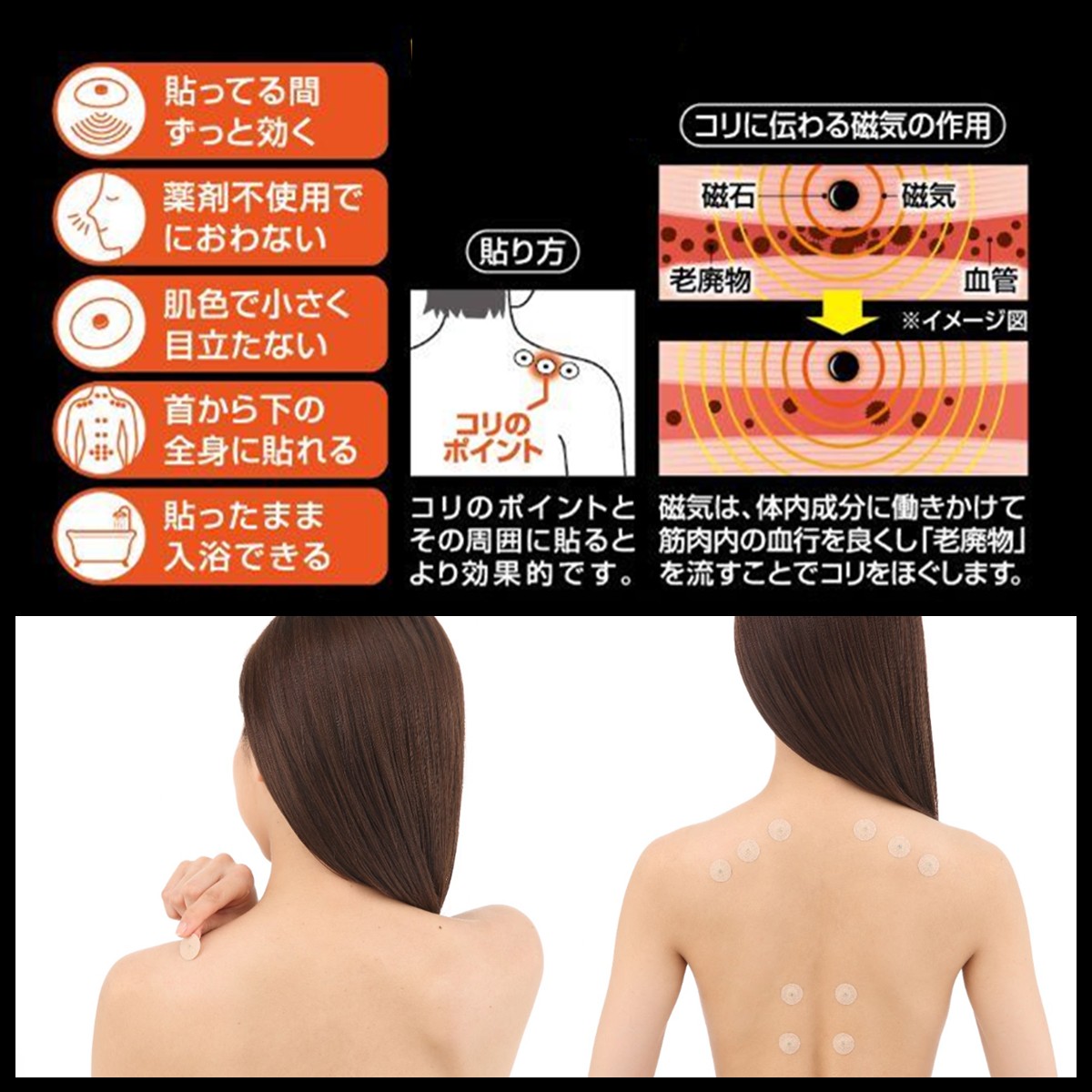 公式】在宅ワークに！腰＋肩ダブルケアセット Mサイズ [ピップ
