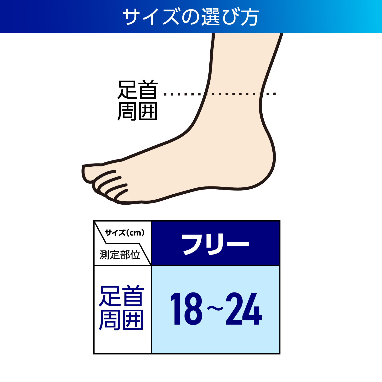 【公式】プロ・フィッツ サポーター 足首用〈加圧タイプ〉フリーサイズ