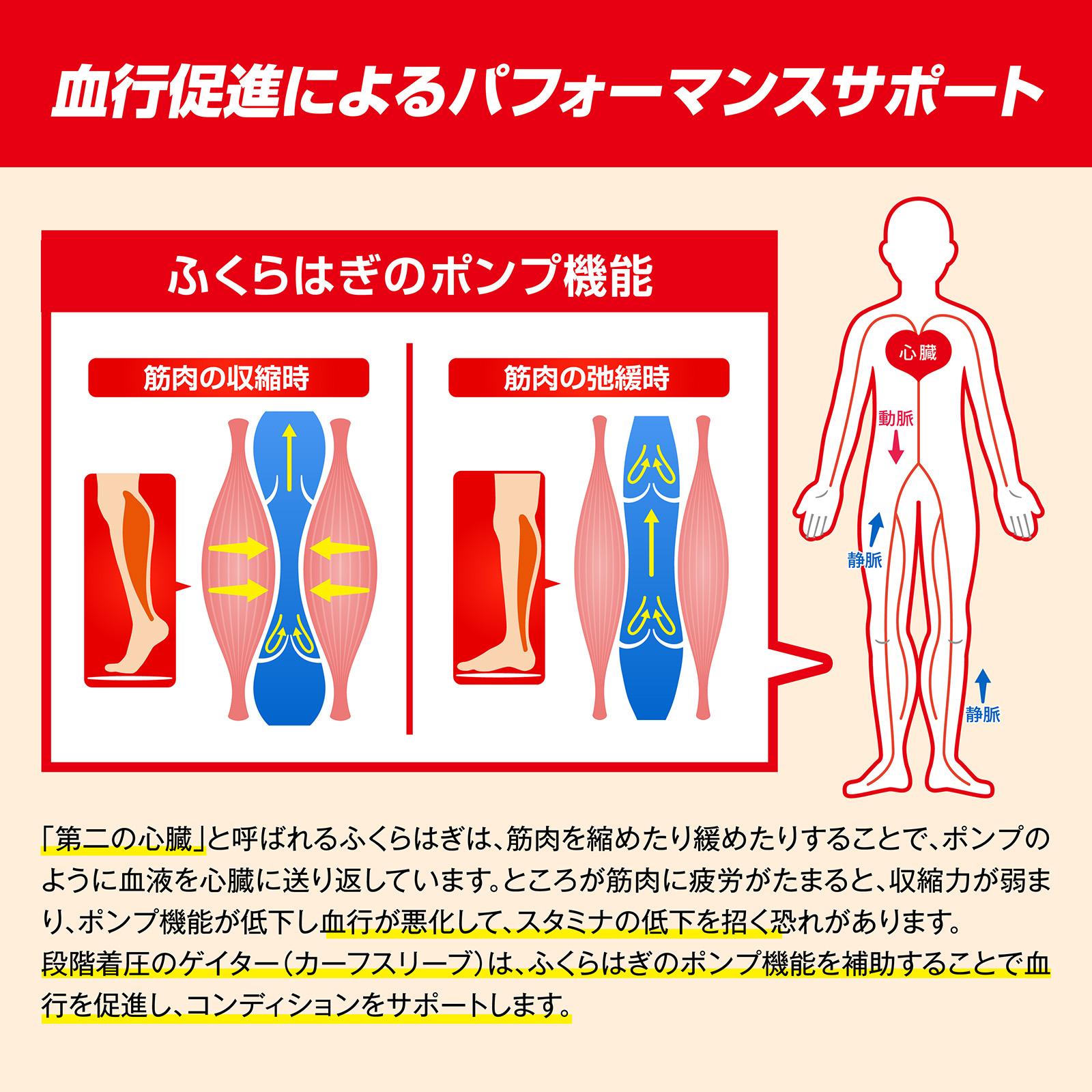 【一般医療機器】プロ・フィッツ メディカルスポーツゲイター Mサイズ M