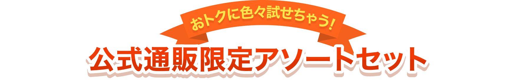 公式通販限定アソートセット