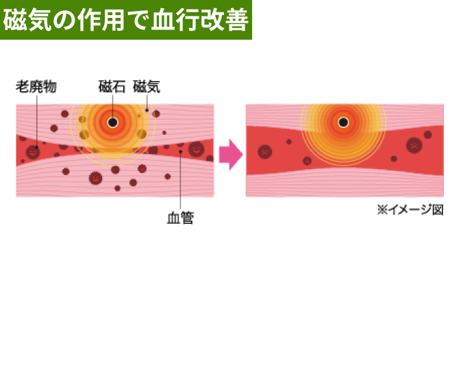 磁気の作用で血行改善